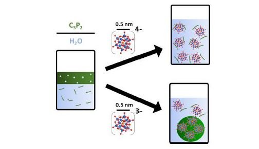 Self-assembly of a short amphiphile in water controlled by superchaotropic polyoxometalates