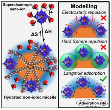 Les nano-ions superchaotropes : un couteau suisse moléculaire dont on découvre les multiples fonctions au fils des recherches au L2IA