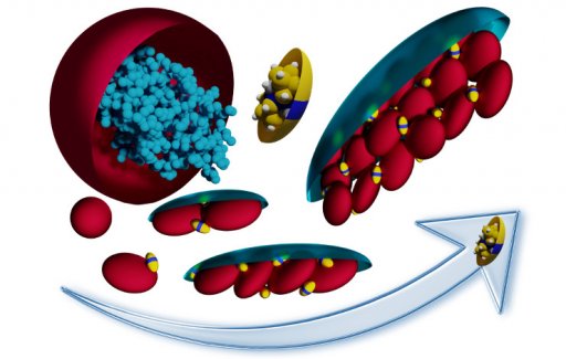 Coller et conserver des protines  l'aide de nano-ions