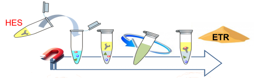 PhD defense of Baptiste BERNICOT