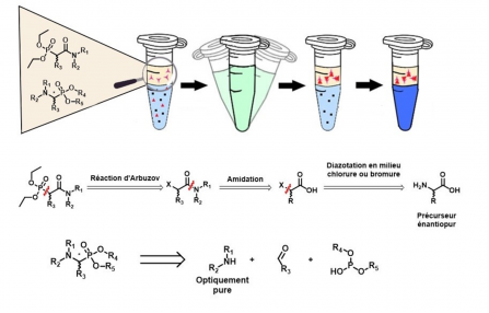 PhD defense of Marine THIMOTEE