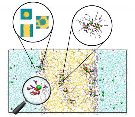 PhD defense of Lara ZIBERNA