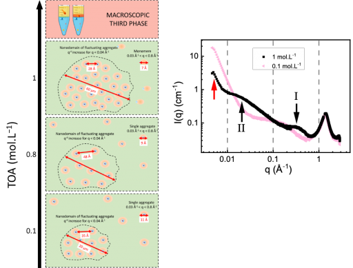 Mise en vidence d'une phase pr-transitionnelle dans la formation de troisime phase  l'aide de la diffusion des neutrons et des rayons X aux petits angles